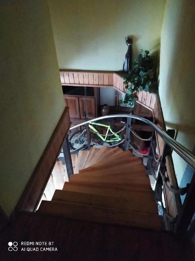 Penzion U Lipy Decin Exteriör bild