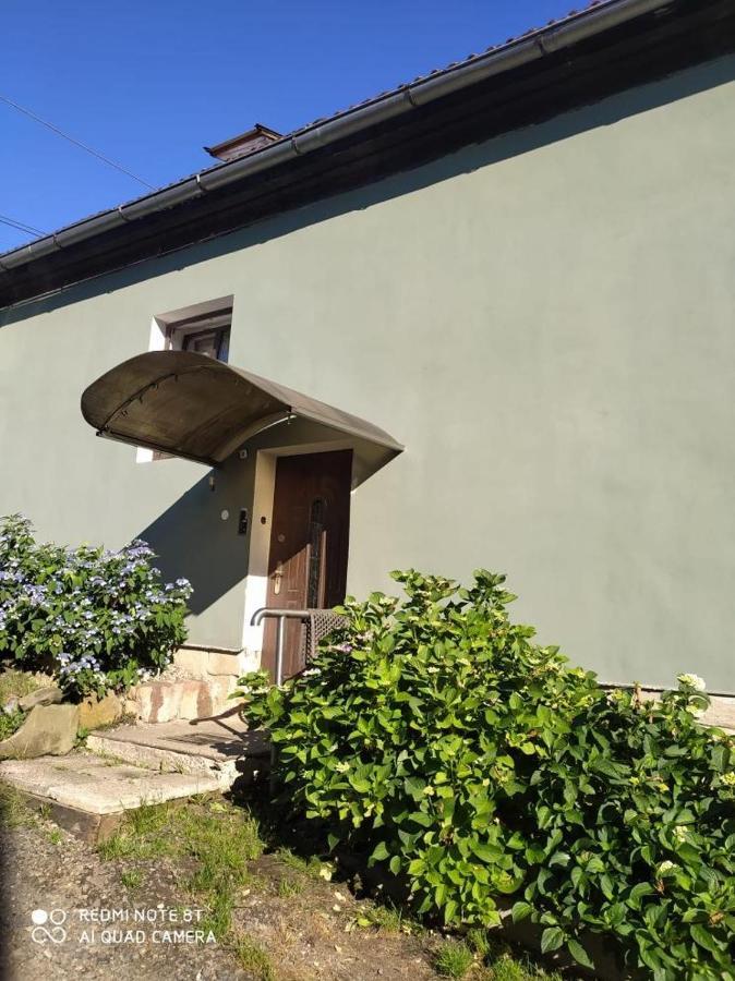 Penzion U Lipy Decin Exteriör bild